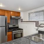 Granite Countertops, New Appliances